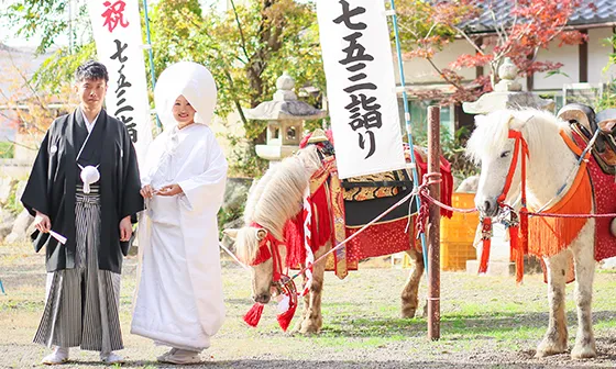 馬と一緒に結婚式 賀茂神社 紋付袴 白無垢