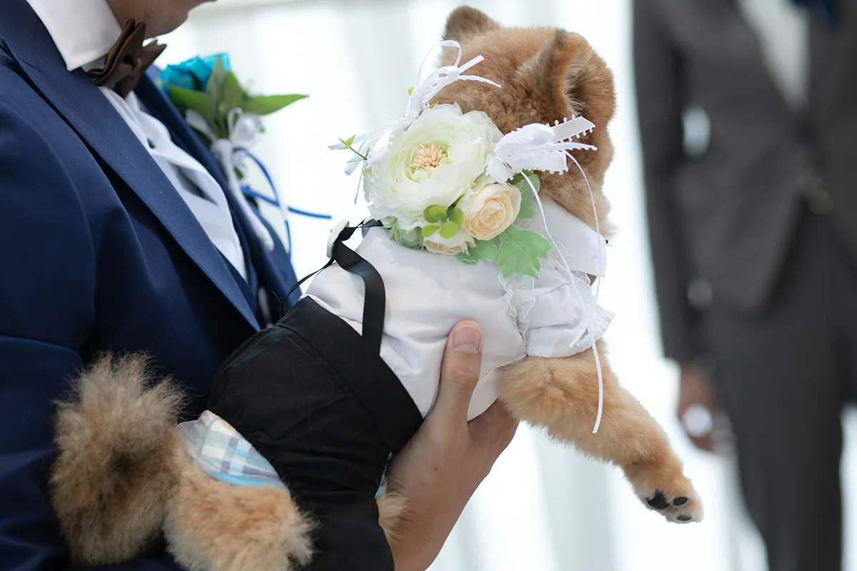 チャペルで愛犬と一緒にフォトウェディング・前撮り