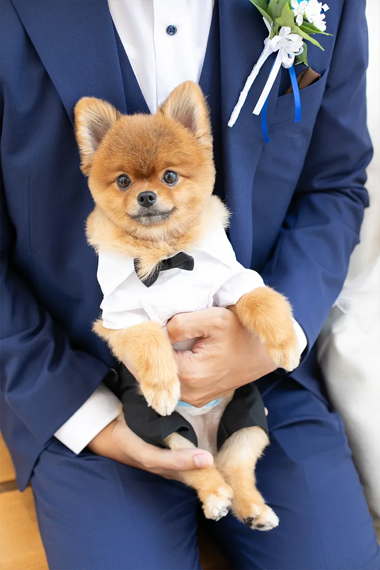 愛犬と一緒にフォトウェディング・前撮り